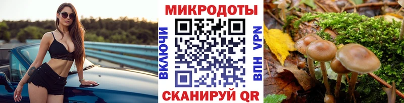 OMG как войти  Каневская  Галлюциногенные грибы мухоморы 