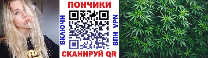 как найти наркотики  Каневская  Бошки марихуана планчик 